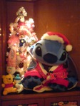 Photo_2