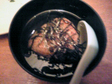 Photo_8