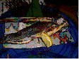 Photo_8